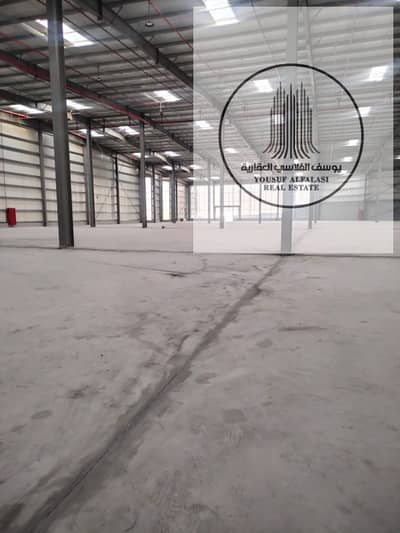 Warehouse for Rent in Umm Al Thuoob, Umm Al Quwain - IMG-20250316-WA0194. jpg