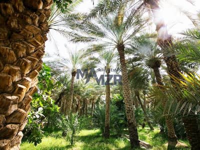 Участок Продажа в Аль Аджбан, Аль-Айн - Участок в Аль Аджбан, 1800000 AED - 11970338