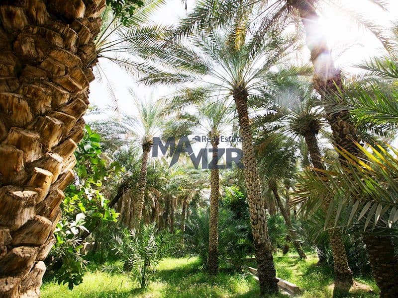 位于阿尔阿吉巴 的商业地块 1800000 AED - 11970338