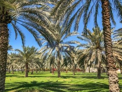 雷马赫， 阿尔艾因 商业地块待售 - 位于雷马赫 的商业地块 1500000 AED - 10308273