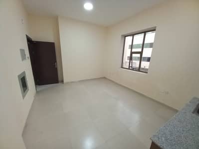 استوديو  للايجار في النخيل، عجمان - IMG-20250712-WA0174. jpg