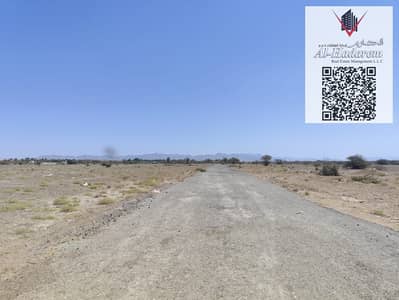 Plot for Sale in Al Manama, Ajman - IMG-20250410-WA0386. jpg