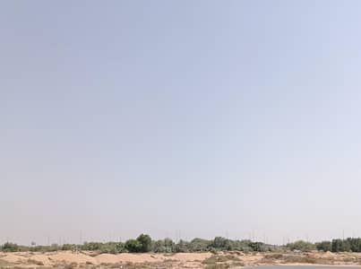 Mixed Use Land for Sale in Al Alia, Ajman - WhatsApp Image 2025-07-14 at 7.48. 38 PM. jpeg