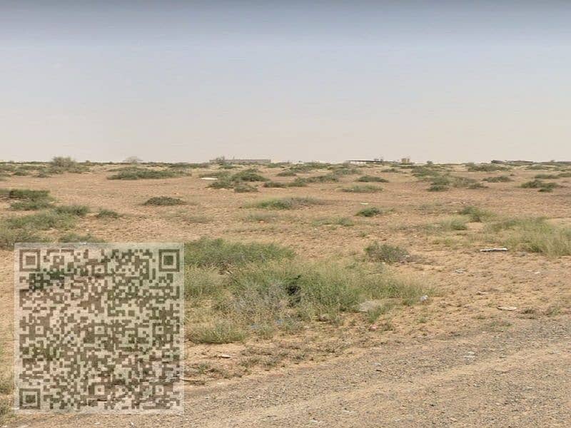 3 صورة واتساب بتاريخ 1446-07-29 في 17.03. 32_4713d400. jpg