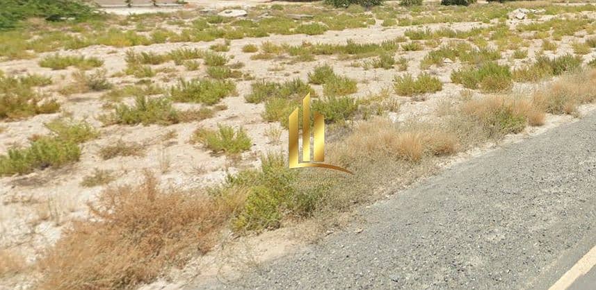 5 لقطة شاشة 2025-07-15 143044. png