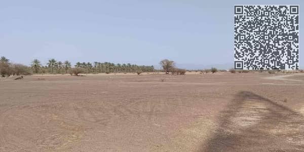 Plot for Sale in Al Manama, Ajman - 1db7ce8e-3c49-4856-b946-7b5941d13db4. jpg