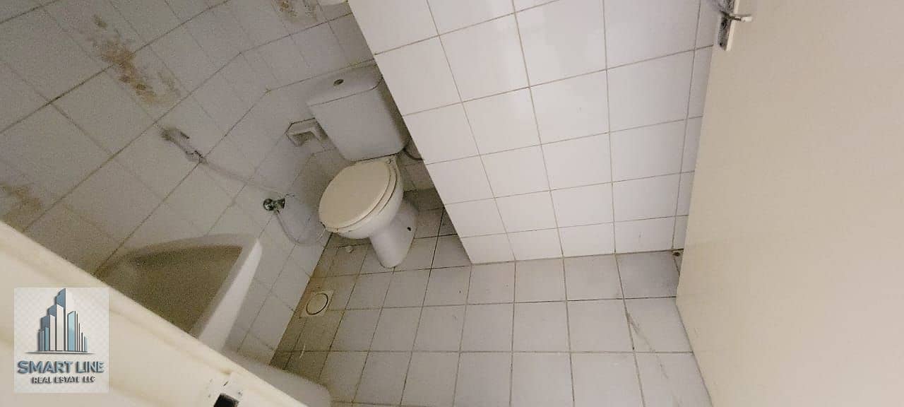 9 1000207460. jpg
