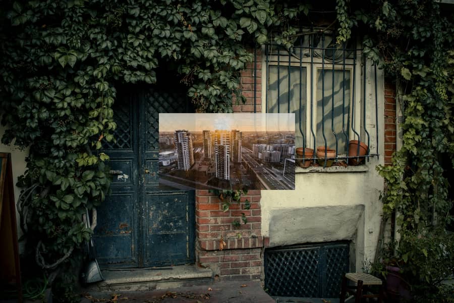 5 pexels-zeynep-sude-emek-193601188-13259519. jpg