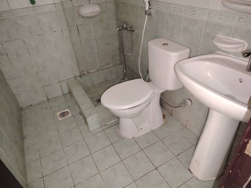 8 1000282688. jpg