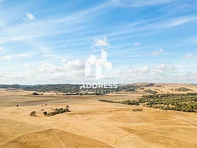 Plot for Sale in Al Belaida, Sharjah - 00000. jpeg