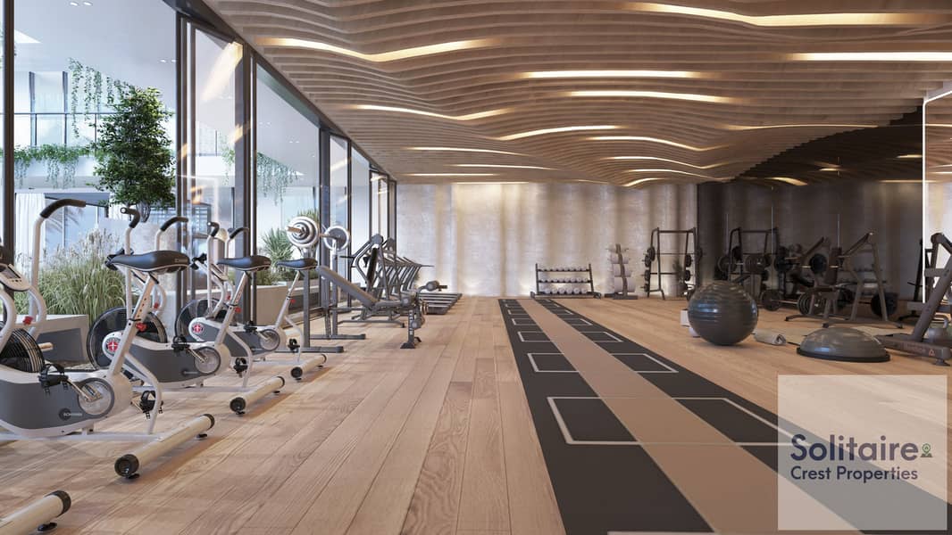 21 Sky Vista - Gym 3. jpg