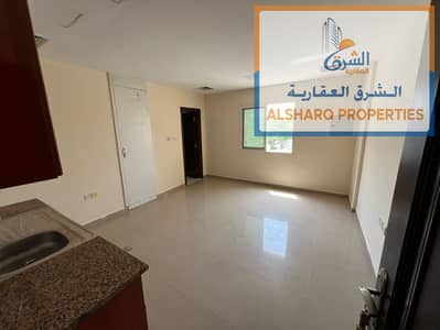 استوديو  للايجار في النعيمية، عجمان - IMG-20250716-WA0008. jpg
