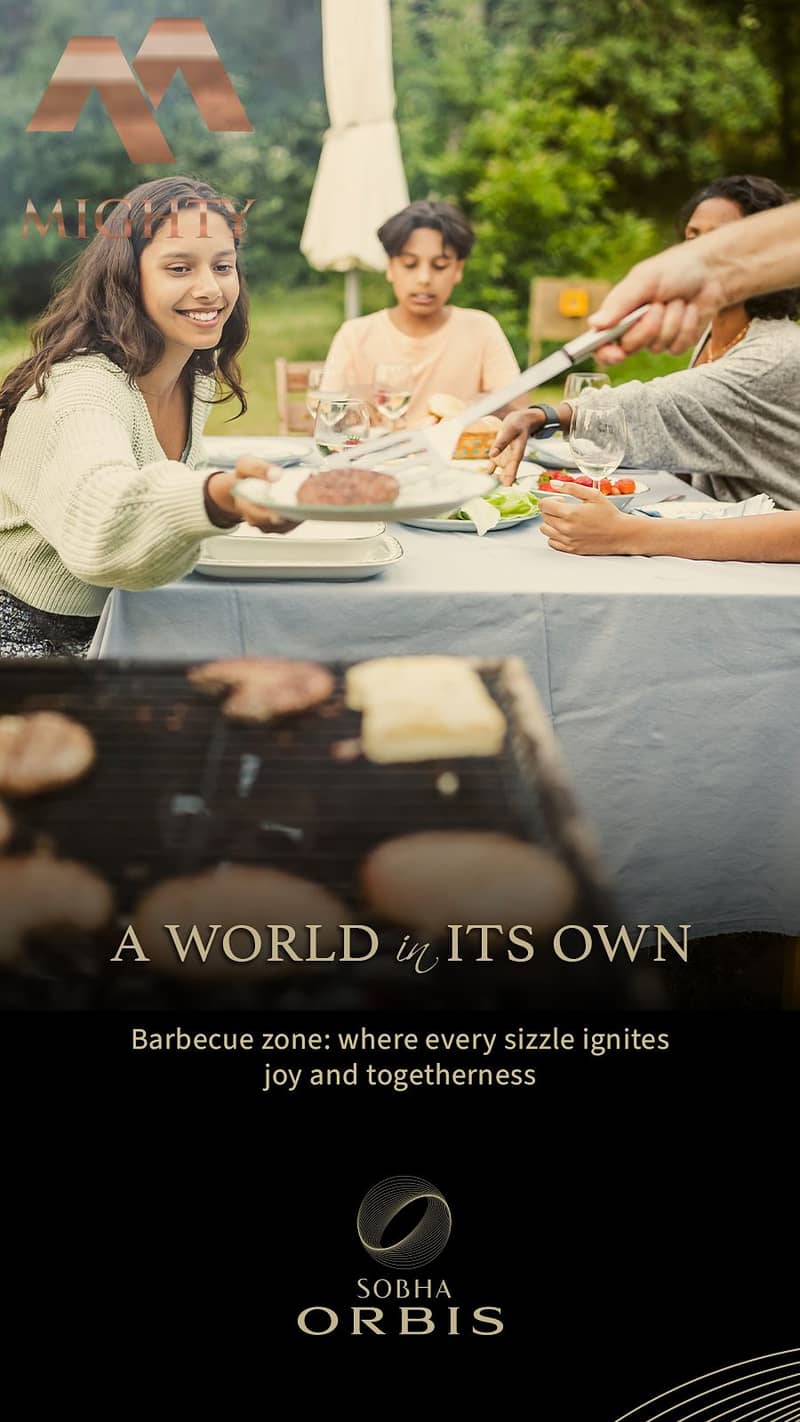 15 BBQ Zone. jpg