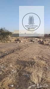 3 IMG-20250716-WA0044. jpg