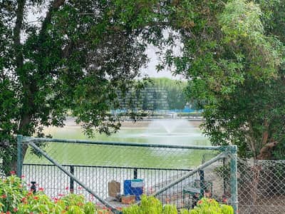 4 Bedroom Villa for Rent in Dubailand, Dubai - 18. png