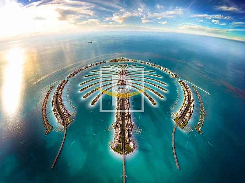 ارض سكنية في سعفة K،نخلة جبل علي 114000000 درهم - 12245796 ارض سكنية في سعفة K،نخلة جبل علي 114000000 درهم - 12245796