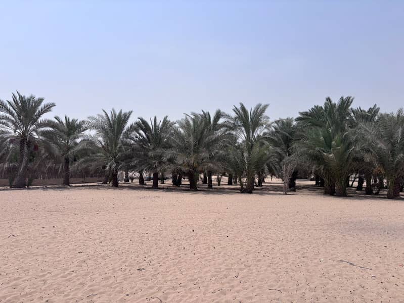 2 خ3. jpg