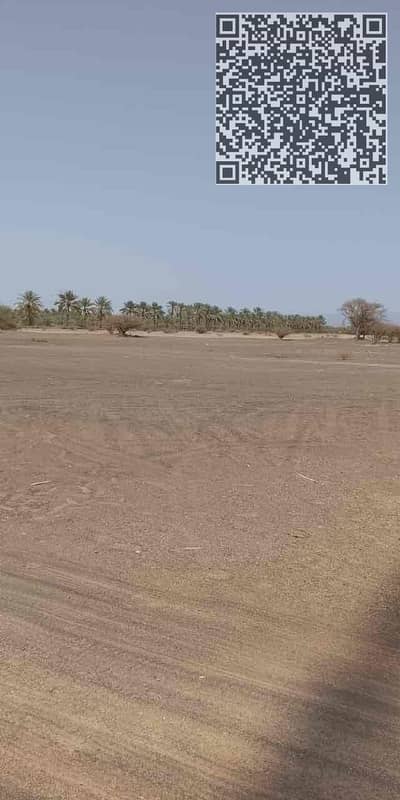 ارض سكنية  للبيع في المنامة، عجمان - 659d19d3-d95d-4ade-a0e2-f0d7b5aa0495. jpg