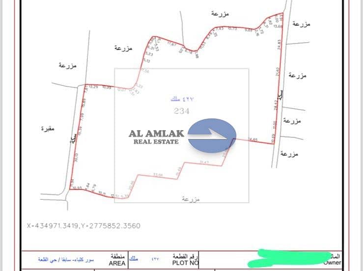 5 WhatsApp Image 2025-07-03 at 19.20. 20 (1). jpeg