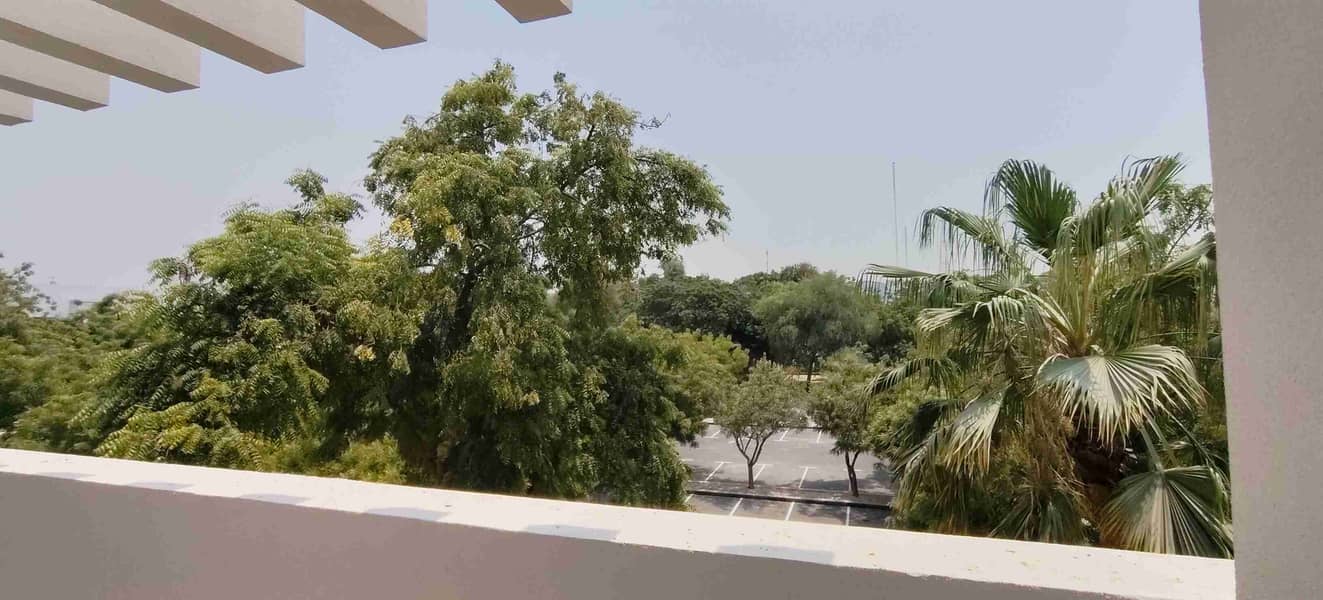 6 1000018318. jpg