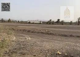 ارض سكنية  للبيع في المنامة، عجمان - WhatsApp Image 2025-01-15 at 5.32. 24 AM (1). jpeg