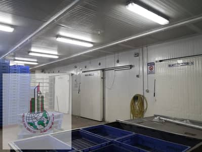 阿治曼工业园区， 阿治曼 工厂待售 - 2. jpg