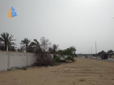 Plot for Sale in Al Helio, Ajman - WhatsApp Image 2025-07-16 at 6.43. 57 AM (9). jpeg