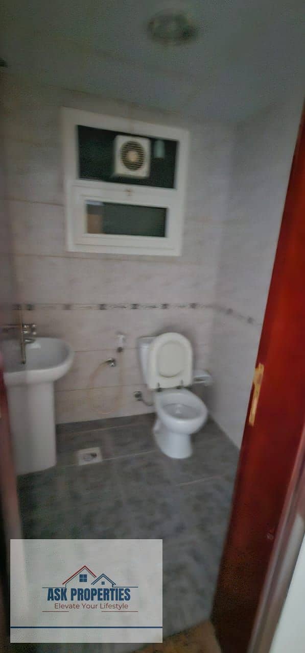 8 1000047810. jpg