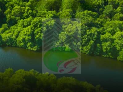 ارض سكنية  للبيع في الزوراء، عجمان - IMG-20240810-WA0010. jpg