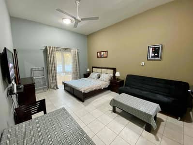 استوديو  للايجار في ديسكفري جاردنز، دبي - IMG_8306. jpg