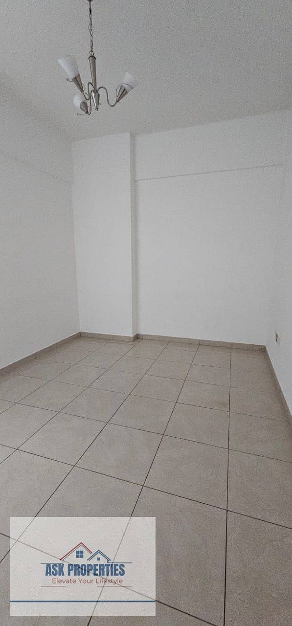 6 1000047610. jpg