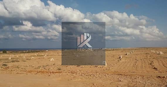 Industrial Land for Sale in Al Sajaa Industrial, Sharjah - تخصيص-أراضي. jpg