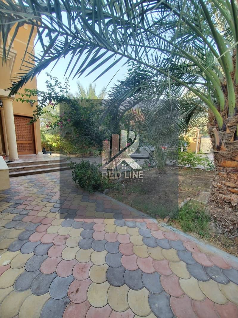 2 صورة واتساب بتاريخ 2025-07-13 في 10.15. 03_a222aa24. jpg