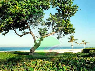 شقة 1 غرفة نوم للبيع في الزوراء، عجمان - 7a3d8c97-d8f0-46bb-a59c-65b2df71bbee. jpg
