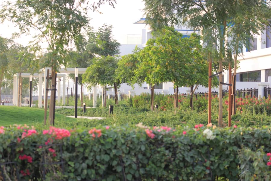 4 Main Image 5. JPG