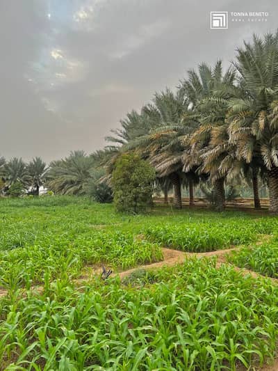 Other Commercial for Sale in Fujairah Freezone, Fujairah - photo_2024-08-05_23-42-36. jpg