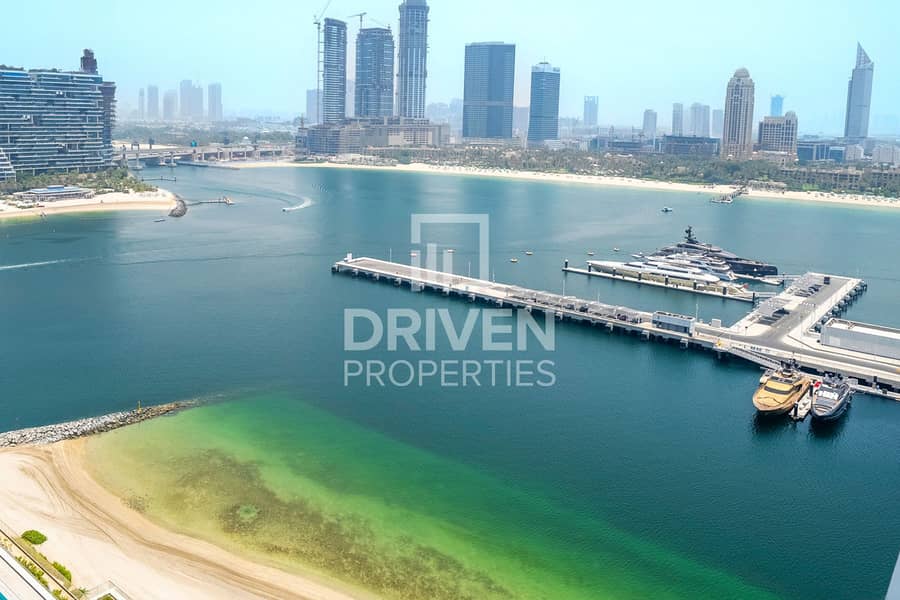 شقة في بالاس بيتش ريزيدنس،إعمار بيتشفرونت،دبي هاربور 1 غرفة 175000 درهم - 12266395 شقة في بالاس بيتش ريزيدنس،إعمار بيتشفرونت،دبي هاربور 1 غرفة 175000 درهم - 12266395
