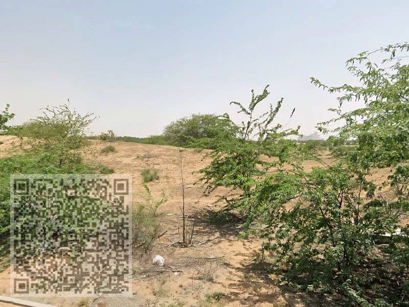 2 صورة واتساب بتاريخ 1447-01-20 في 17.07. 28_9f14f7a7. jpg