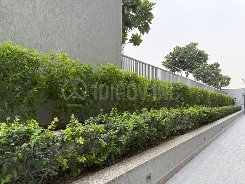 26 IMG_1087. png