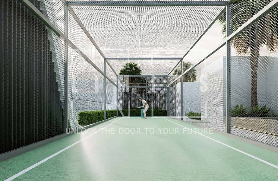 16 Cricket pitch. jpg