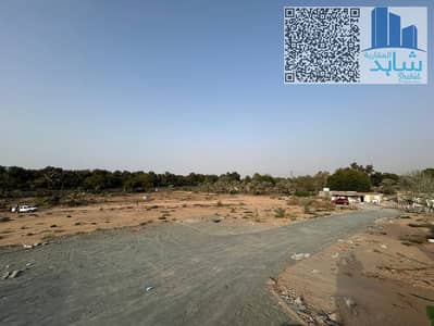 ارض سكنية  للبيع في الحليو، عجمان - photo_6046250673940579783_y. jpg