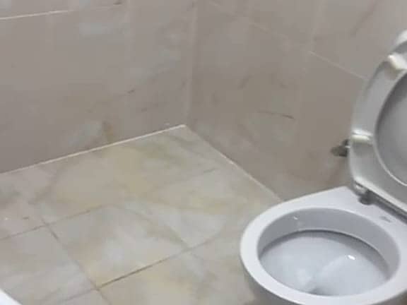 2 7d73f98c-48b6-4bd0-a312-5648cb665cee. jpeg