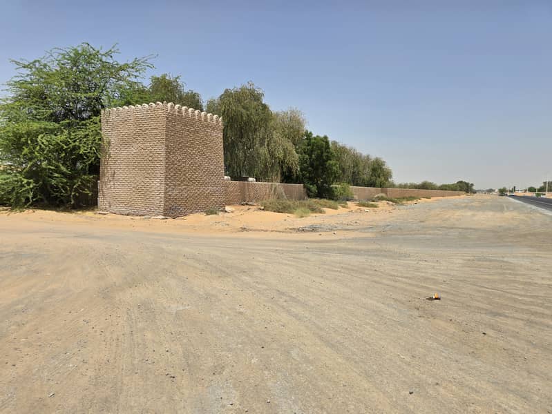 8 ٢٠٢٥٠٦١١_١١٠٧٠٣. jpg