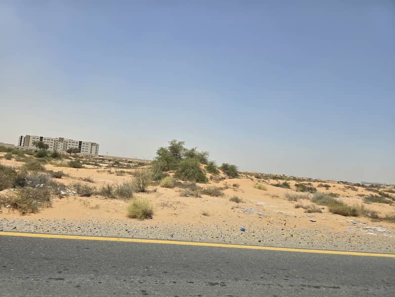 2 ٢٠٢٥٠٦١١_١١٣٣٠٦. jpg