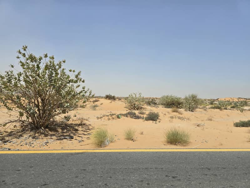 4 ٢٠٢٥٠٦١١_١١٣٣١٣. jpg