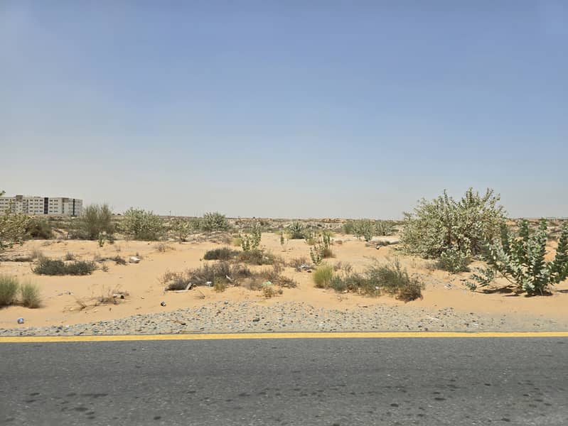 6 ٢٠٢٥٠٦١١_١١٣٣١٥. jpg