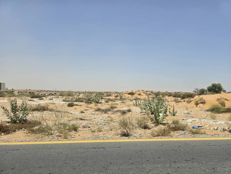 8 ٢٠٢٥٠٦١١_١١٣٣١٨. jpg