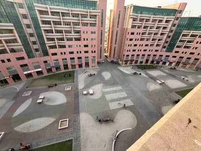 探索花园街区， 迪拜 单身公寓待租 - 1000019561. jpg