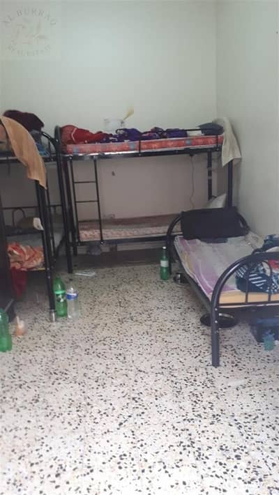 14% ROI: can be vacant also Labor camp for sale in muhaisnah 2nd 53 rooms with G 4 permission. 14% ROI: can be vacant also Labor camp for sale in muhaisnah 2nd 53 rooms with G 4 permission.