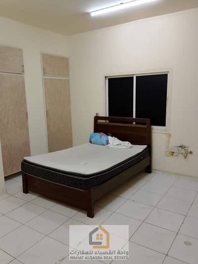Studio for Rent in Bu Tina, Sharjah - IMG-20250722-WA0019. jpg